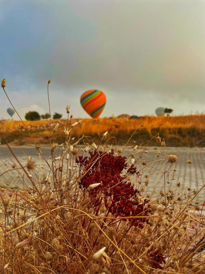 אוצ'יסר Soleado Cappadocia Hotel מראה חיצוני תמונה